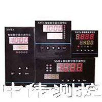 智能數字顯示調節(jié)儀